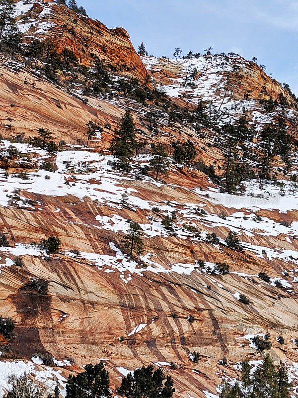 融化的雪在红色的悬崖峭壁沿着风景优美的道路在锡安国家公园附近的棋盘Mesa