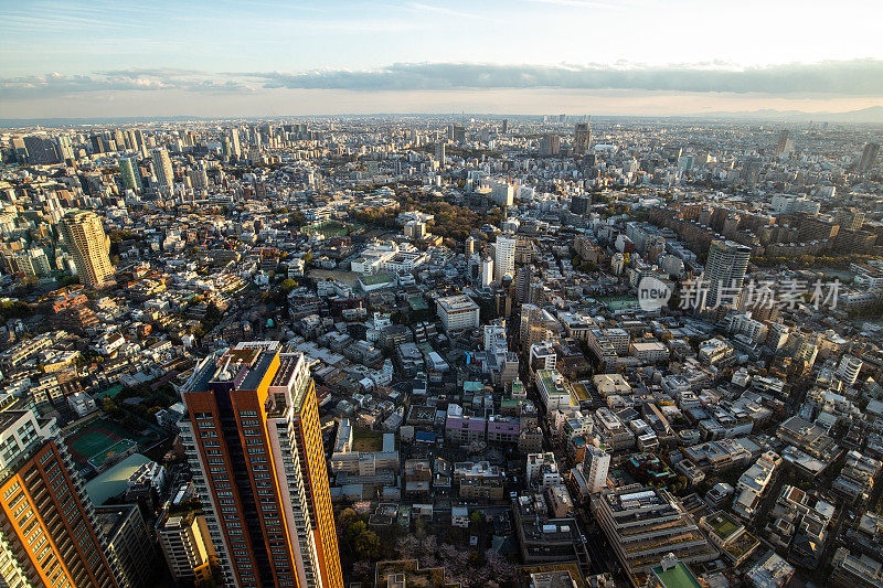 日本东京的现代城市全景