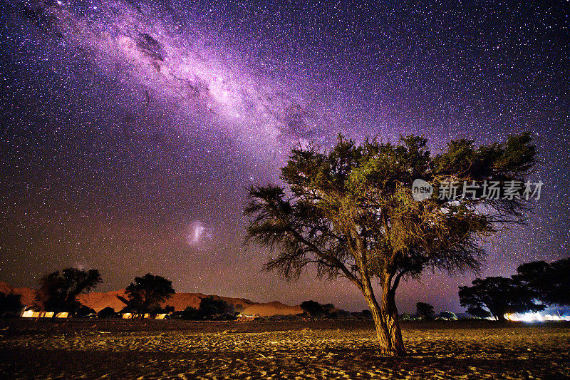 纳米比亚Sossusvlei的Tree设计的星空与银河