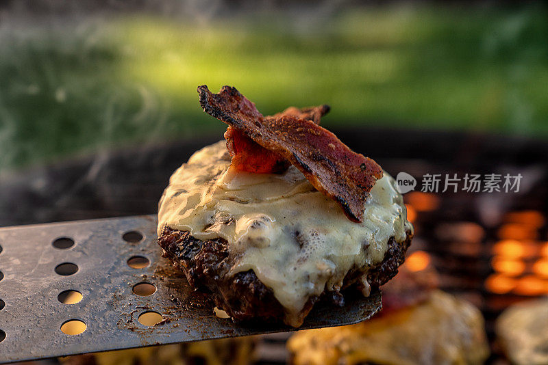 完美的生酮或低碳水化合物减肥食品