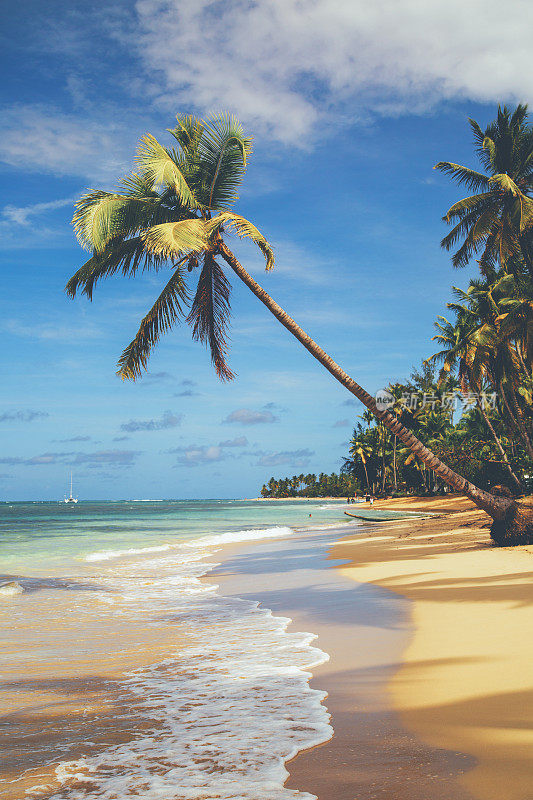 林孔海滩⁨多米尼加共和国⁩，⁨北大大西洋⁩