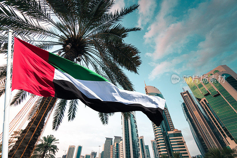 阿联酋国旗飘扬在迪拜的地平线上