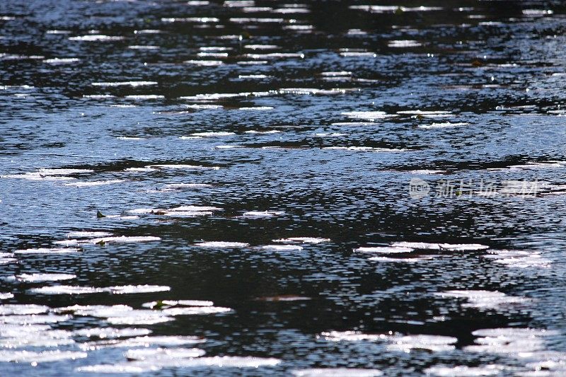 湖面泛起涟漪