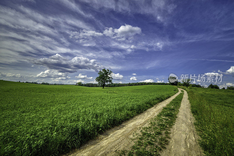 乡村景观中的乡村道路(HDRi)