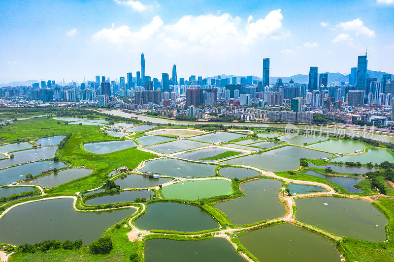 无人机拍摄的香港乡村绿地和鱼塘以及深圳的天际线