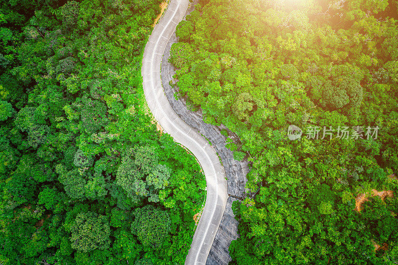 鸟瞰图的乡村道路在绿色的夏季森林。香港的乡郊景观