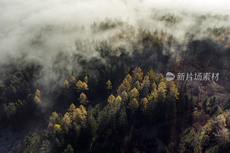 雾和阳光在秋天森林地区-陶诺斯山。鸟瞰图