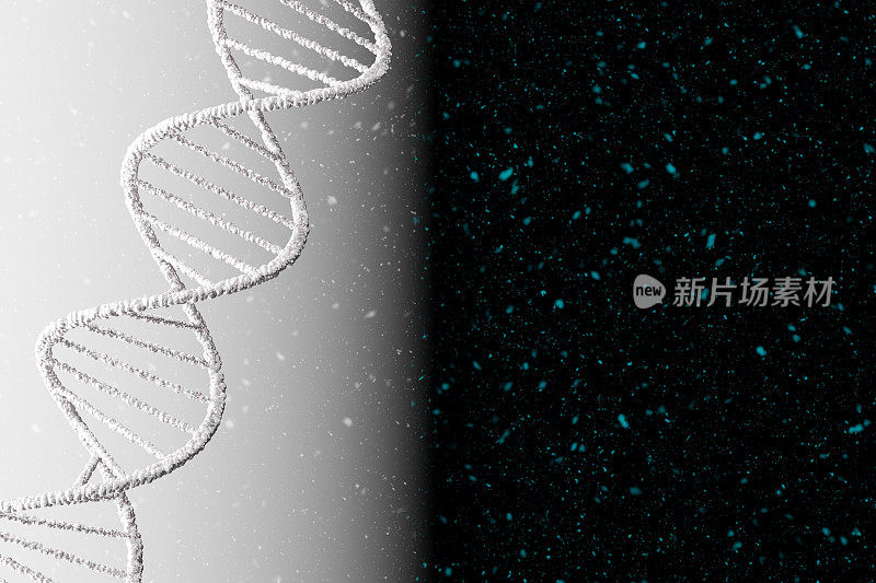 DNA链是分子的螺旋结构。基因和基因操作的概念