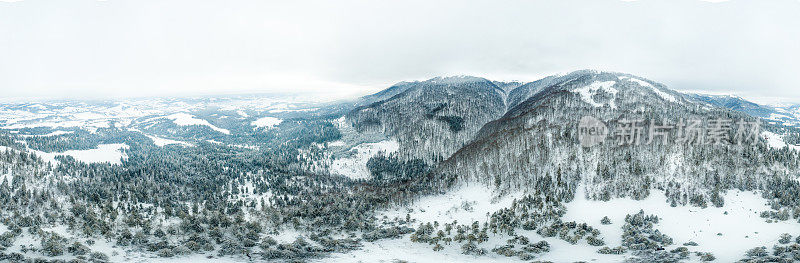 冬天的风景在雾与雪和树枝覆盖着白霜和冰冻的雪。高质量的照片