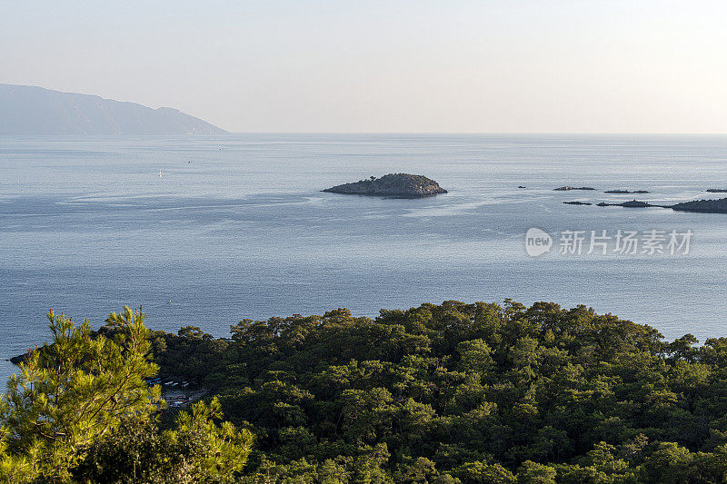 海上和松林海岸的单个小岛