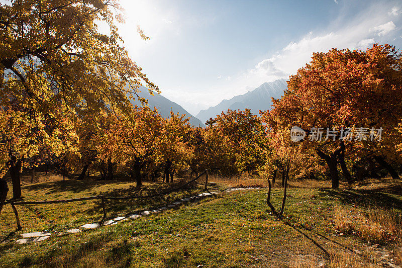 雄伟的秋天在罕萨山谷在巴基斯坦