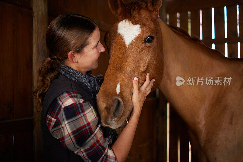 一个年轻女子在谷仓里抚摸一匹马