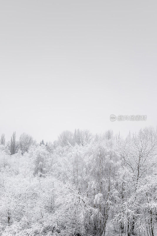 冬天的风景