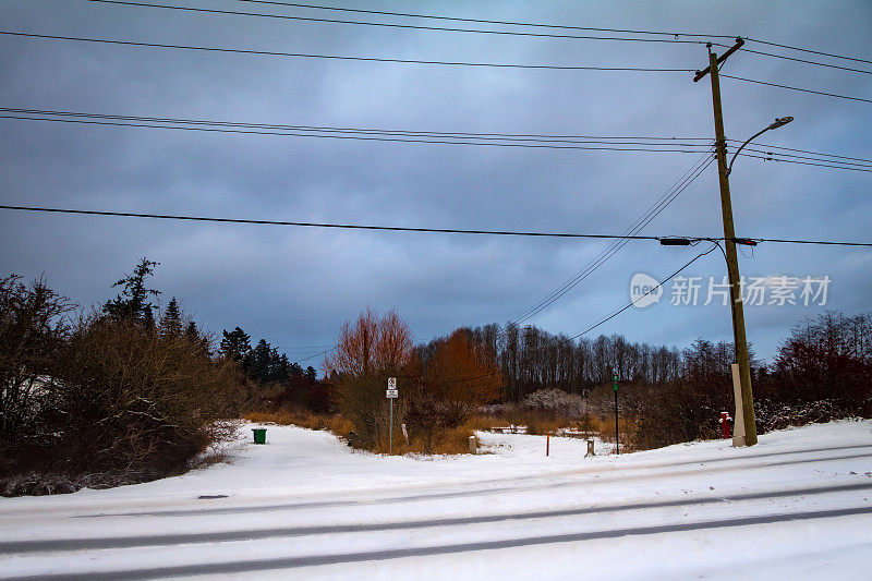 被雪覆盖的道路