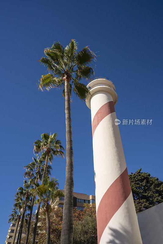 玛贝拉棕榈树在普拉亚德尔法罗灯塔海滩市中心