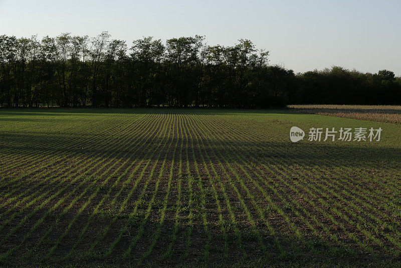 乡间小路