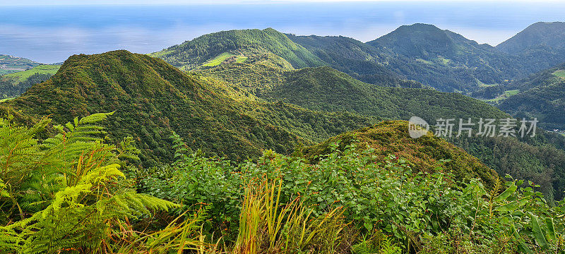 青山的全景。