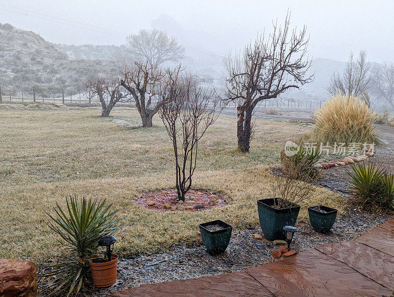 在岩石花园和前院的丝兰植物，在冬天，风暴逼近沿着格拉夫顿路在犹他州洛克维尔和潘帕斯草的背景