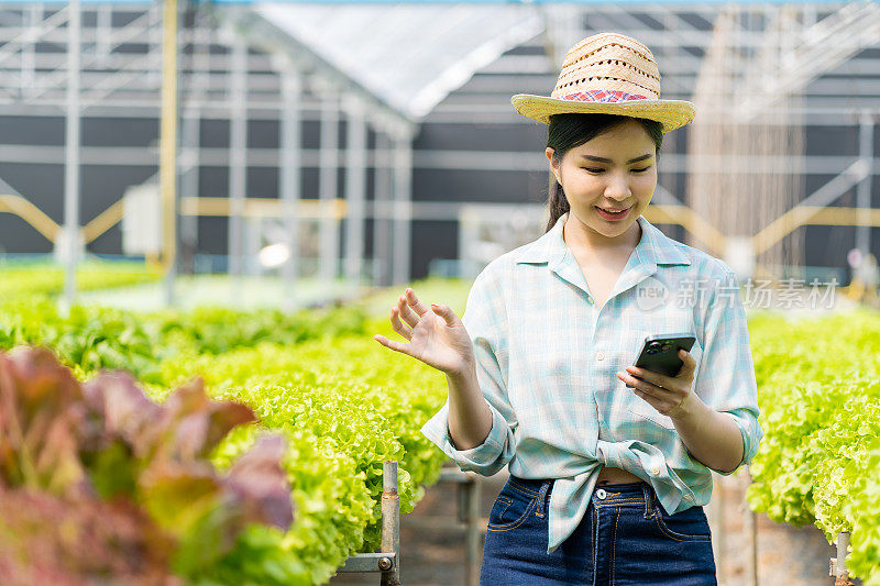 友好的亚洲女性农民蔬菜园主人微笑着，拿着智能手机点菜有机蔬菜的名字水耕生产农场苗圃花园温室农业综合经营的概念
