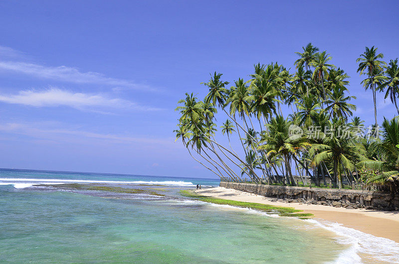 斯里兰卡海滩景观