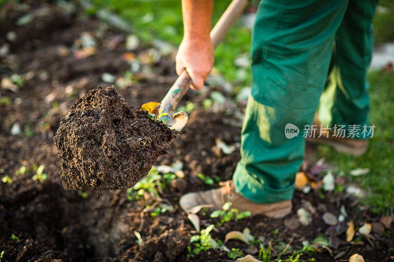 男人用铲子在花园里挖土