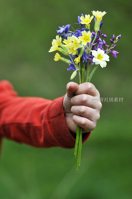 一束野花