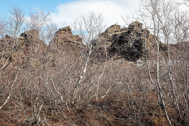 Dimmuborgir——冰岛著名的风景