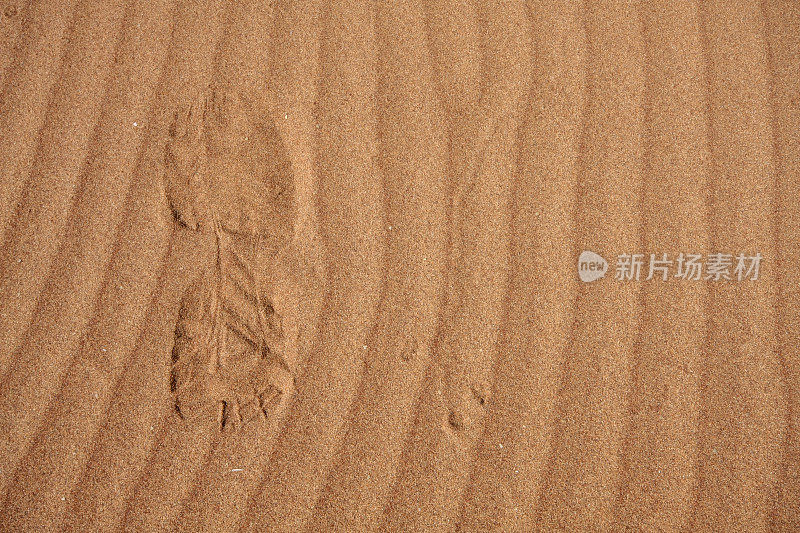 脚踩在沙子上