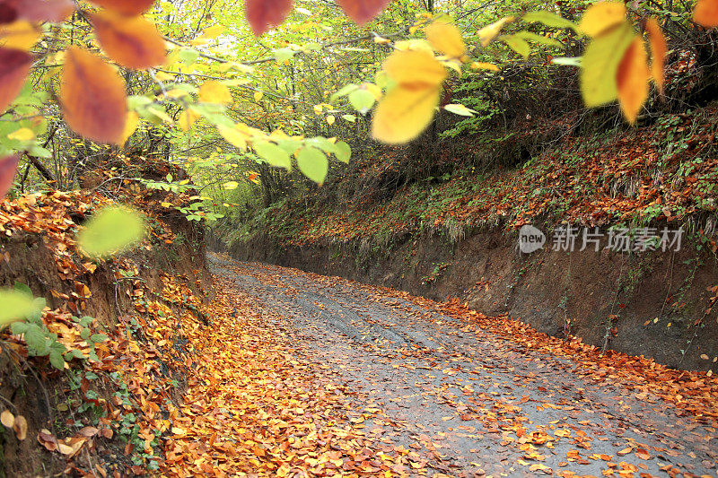 五彩缤纷的大自然