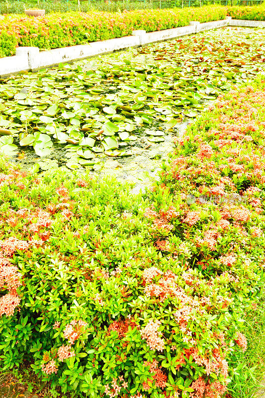 台湾台北植物园