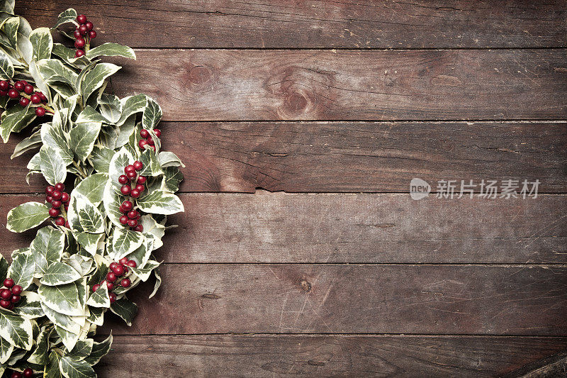 圣诞冬青花环挂在旧木门上