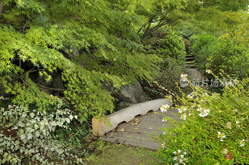 带桥的日本观赏园
