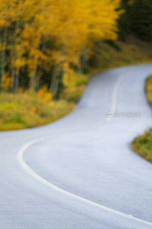 蜿蜒的道路