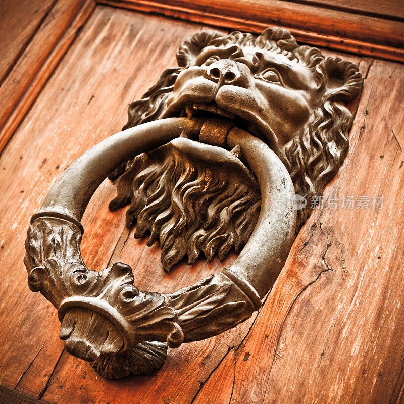 狮头门环在佛罗伦萨，意大利