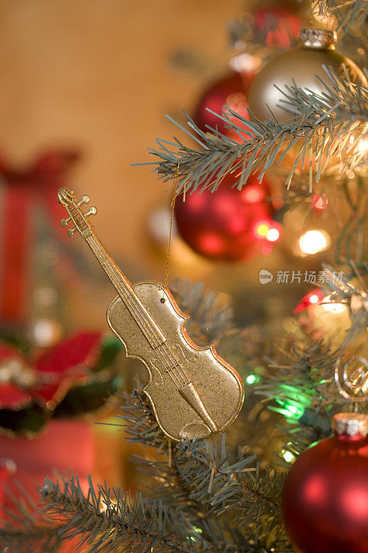 小提琴的圣诞装饰