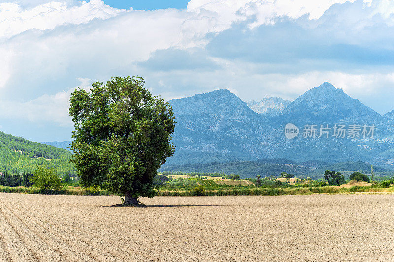 开垦的土地