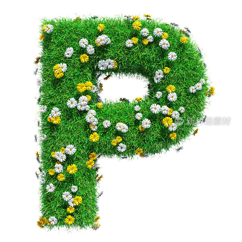 绿色的草和花的字母P