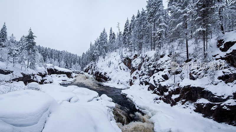 芬兰国家公园冬季森林和野生河流