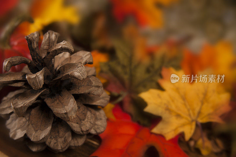 感恩节的中心装饰品与秋天的装饰。