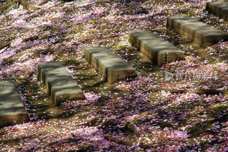 花朵楼梯