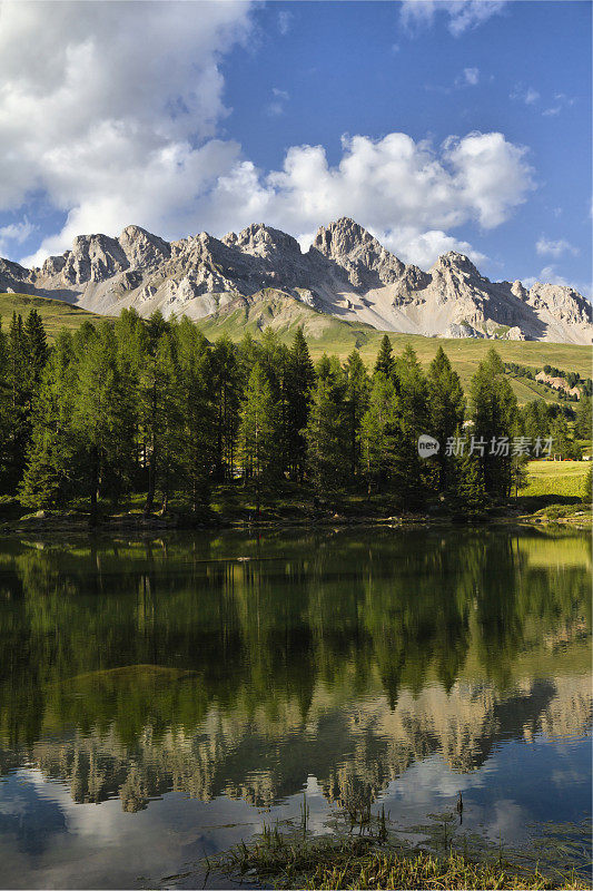 夏天的圣佩莱格里诺湖-科斯塔贝拉山