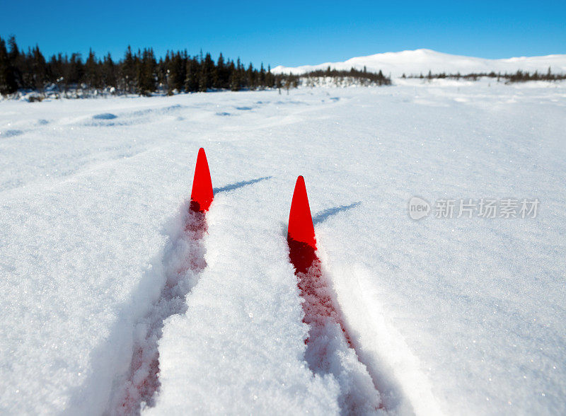 挪威越野滑雪