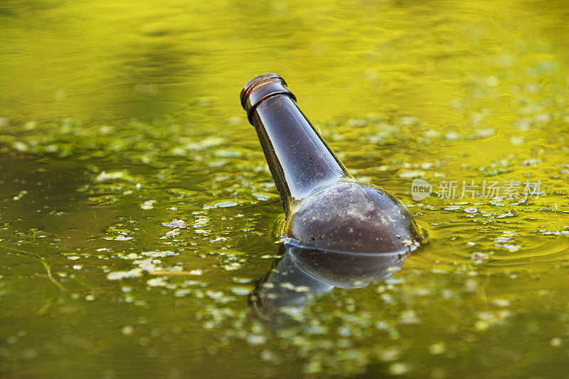 漂浮的啤酒瓶沼泽污染