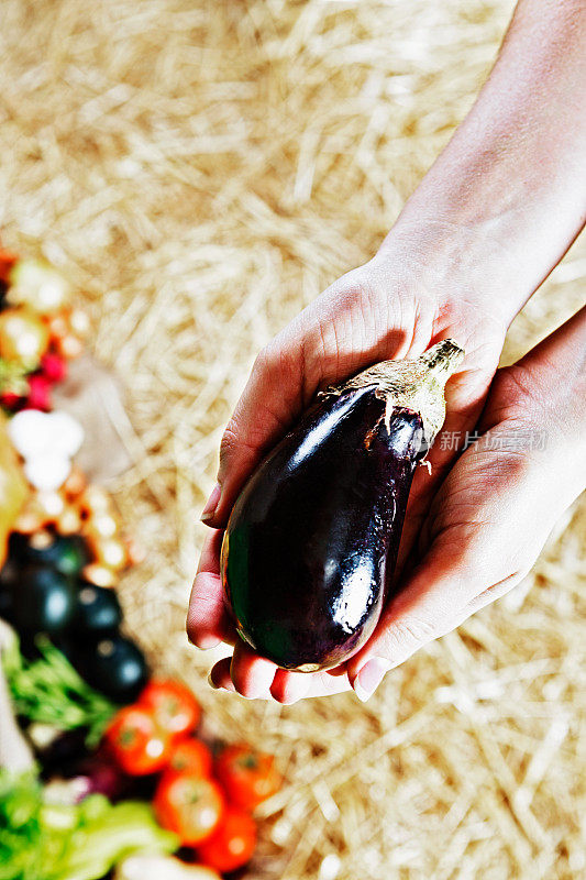 在农贸市场，女人的手捧着闪闪发光的茄子