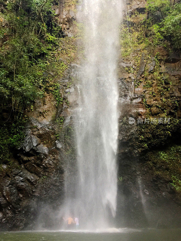 夏威夷考艾岛热带雨林中的瀑布