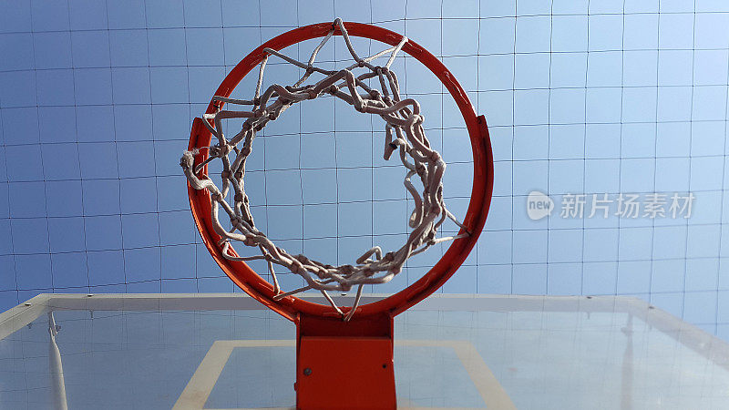 篮球篮网