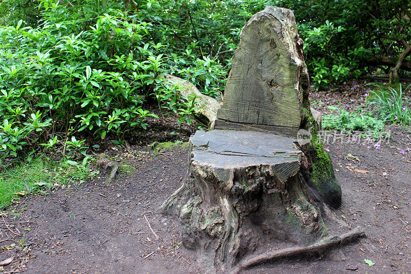 木头树干座椅的形象，用链锯雕刻