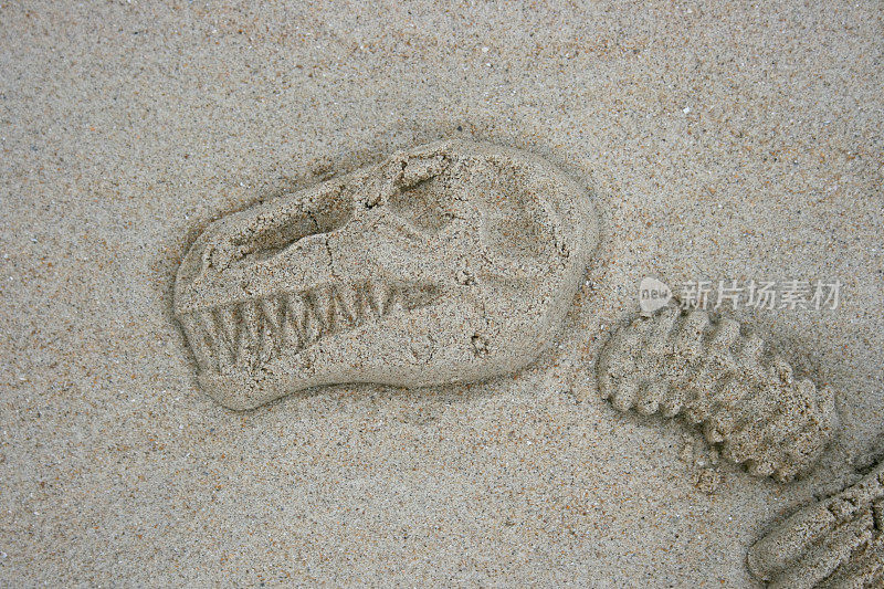 沙子的恐龙