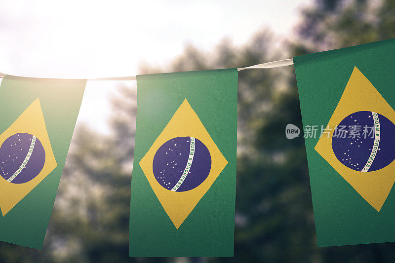 巴西国旗旗