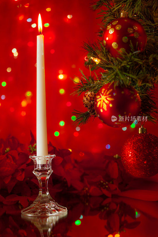 白蜡烛、红一品红和圣诞树(P)